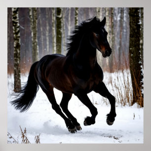 Affiche Magnifique cheval noir dans la neige