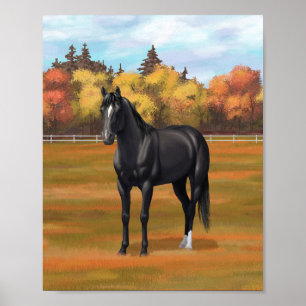 Affiche Magnifique étalon Quarter Horse noir