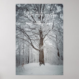 Affiche Magnifique hêtre dans la forêt hivernale