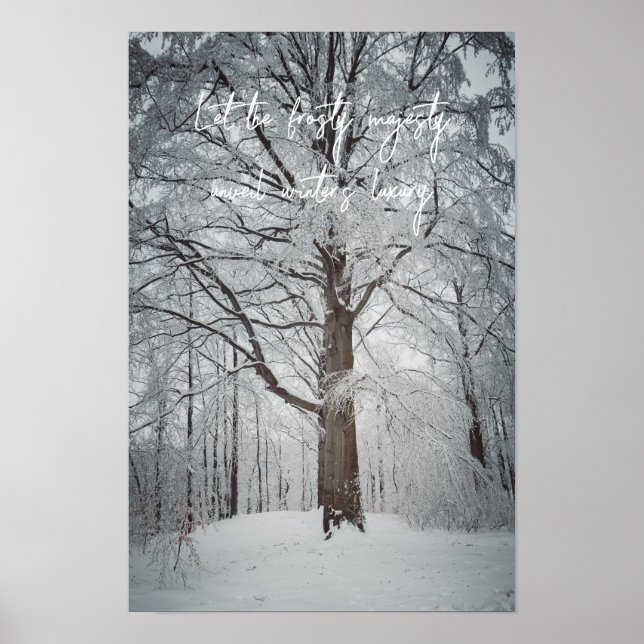 Affiche Magnifique hêtre dans la forêt hivernale (Devant)