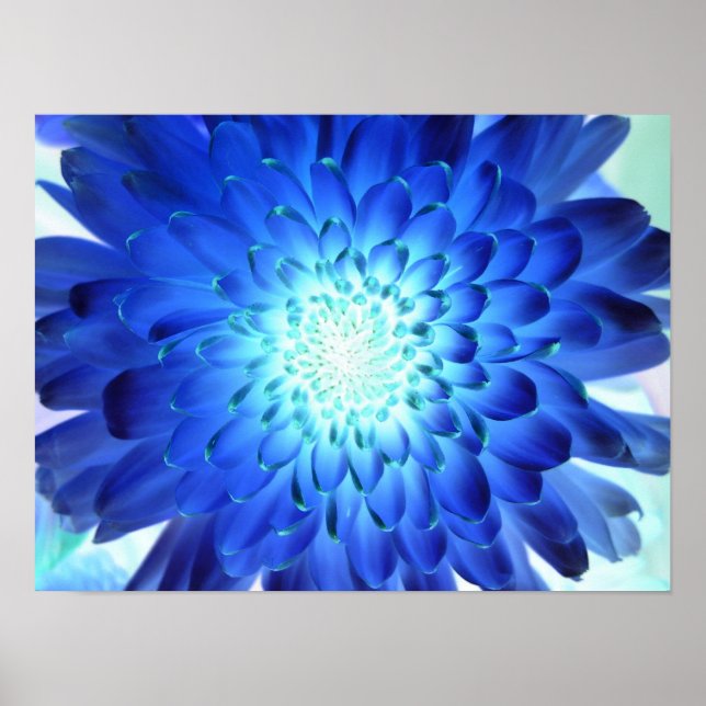 Affiche Magnifique macro fleur bleue. Négatif de jaune (Devant)