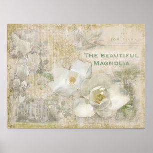 Affiche Magnifique Magnolia Vintage