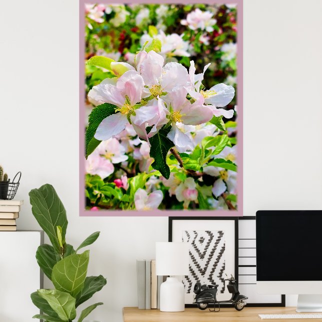 Affiche Magnifique Malus asiatica Photo (Bureau à domicile)