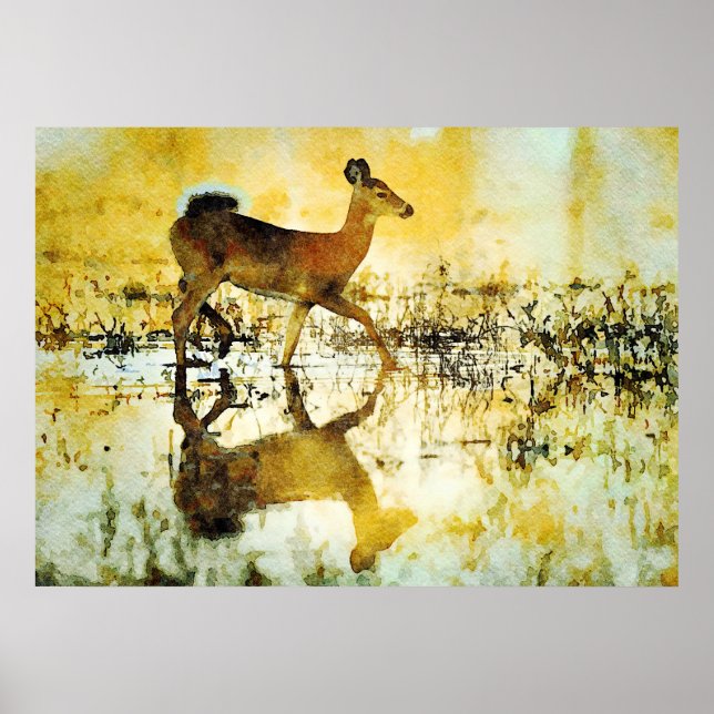 Affiche Magnifique peinture à l'aquarelle de cerf blanc Do (Devant)