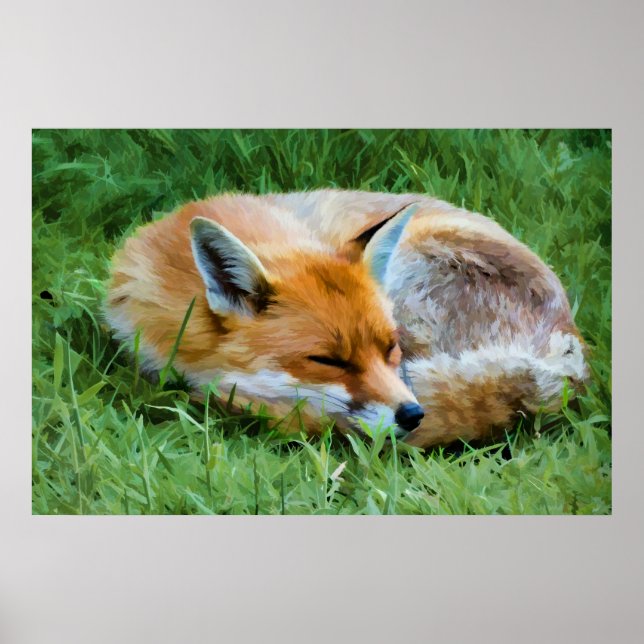 Affiche Magnifique peinture numérique d'un renard endormi (Devant)