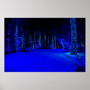 Affiche Magnifique période de Noël 36 x 24 Papier d'archiv