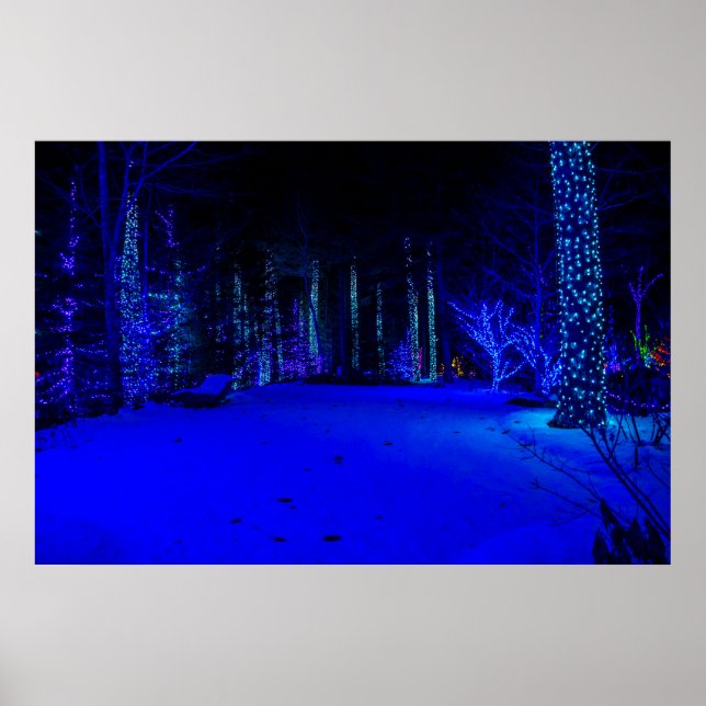 Affiche Magnifique période de Noël 36 x 24 Papier d'archiv (Devant)