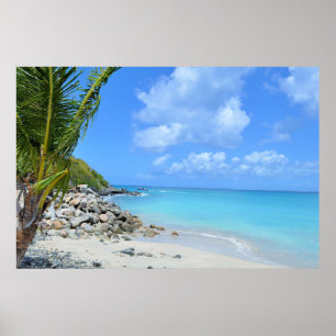 Affiche Magnifique plage tropicale turquoise
