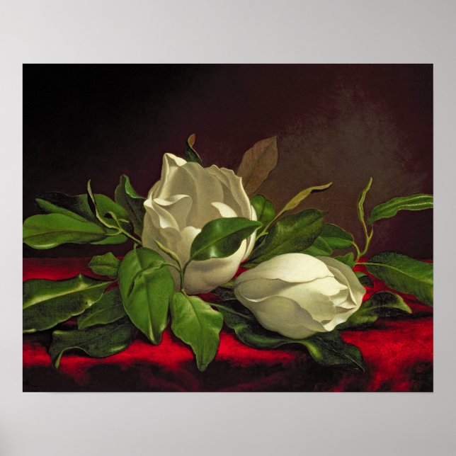 Affiche Magnolia (Devant)