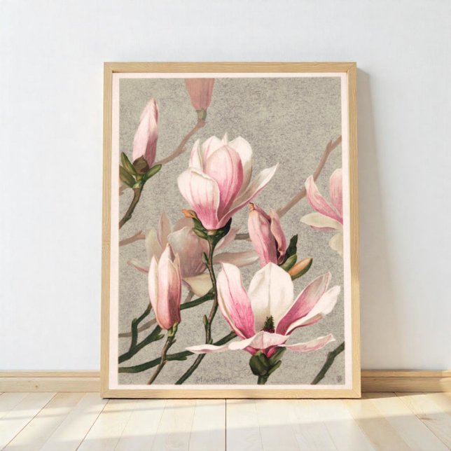 Affiche Magnolia (Créateur téléchargé)