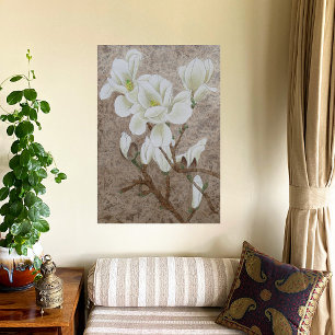 Affiche Magnolia blossom