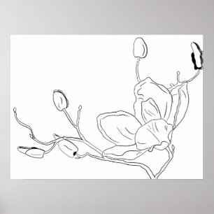 Affiche Magnolia dessins botaniques au trait