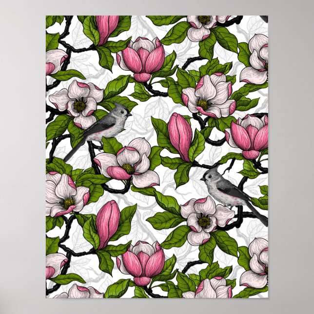Affiche Magnolia en floraison et tireur (Devant)