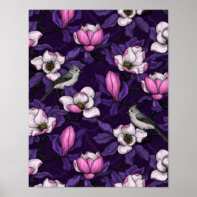 Affiche Magnolia en floraison et tireur 4 (Devant)