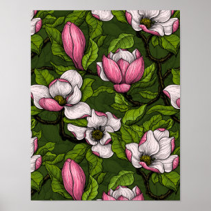 Affiche Magnolia en floraison sur vert foncé