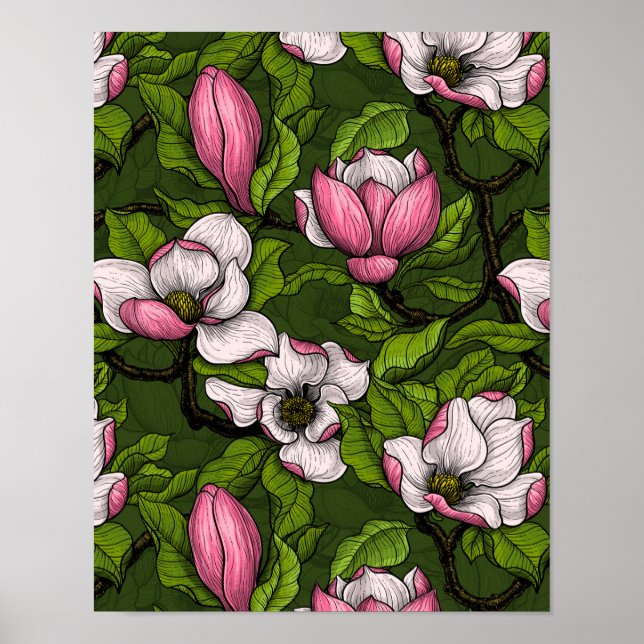 Affiche Magnolia en floraison sur vert foncé (Devant)