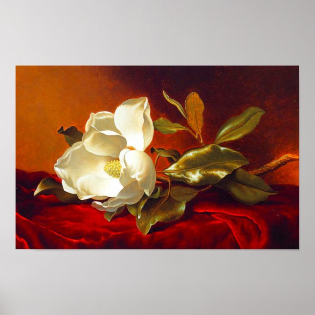 Affiche Magnolia sur Red Velvet Martin Johnson Heade (Devant)