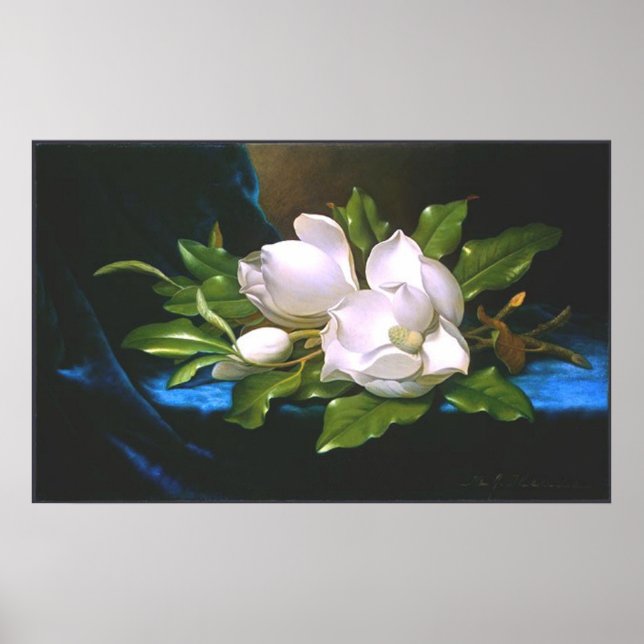 Affiche Magnolias sur Blue Velvet (Devant)
