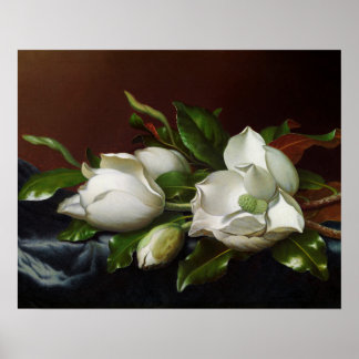 Affiche Magnolias sur fond bleu clair par Martin Johnson H