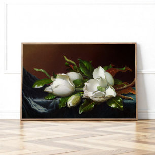 Affiche Magnolias sur fond bleu clair par Martin Johnson H