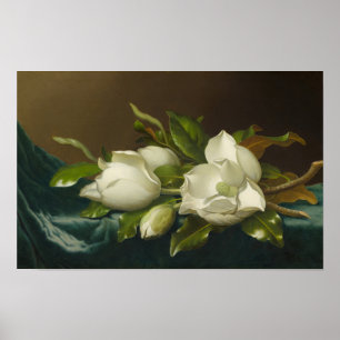 Affiche Magnolias sur velours bleu clair ,Peinture célèbre