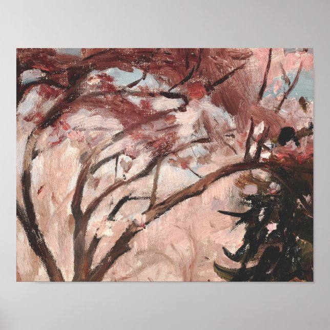 Affiche Magnolias vintage (Devant)