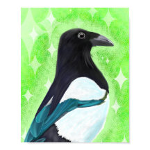 Magpie curieuse