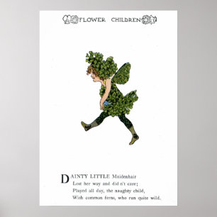 Affiche Maidenhair