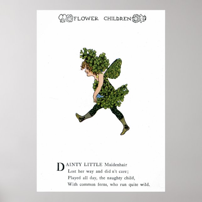 Affiche Maidenhair (Devant)