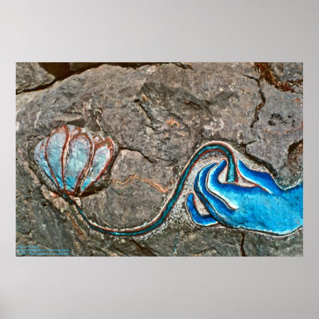 Affiche Main avec Lotus/Poster (Devant)