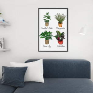 Affiche Main Drake House Plante Wall Art