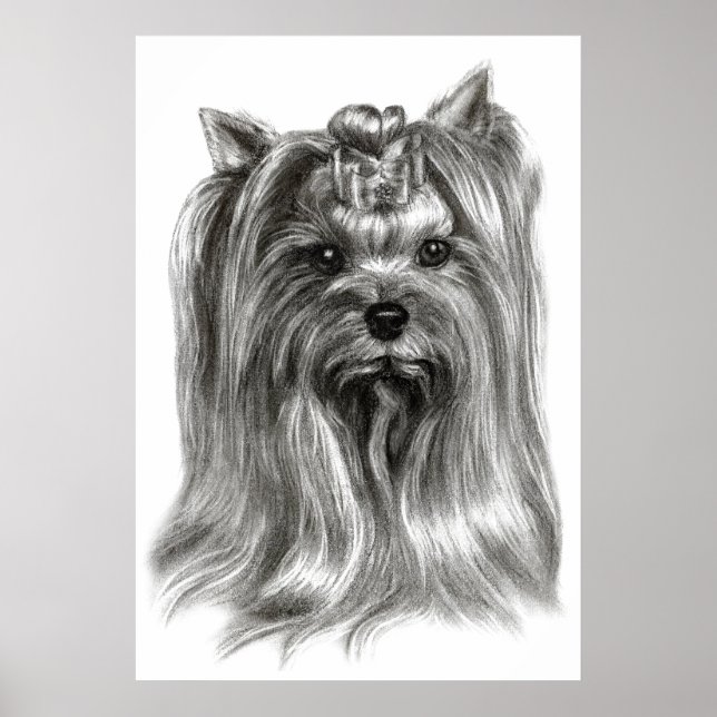 Affiche Main tiré Yorkshire Terrier (Devant)
