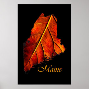 Affiche Maine Autumn Orange Leaf Maine Fall Foliing