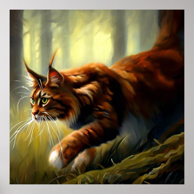 Affiche Maine Coon (Devant)