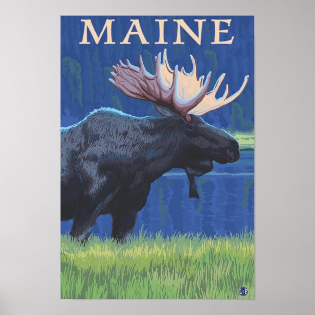 Affiche MaineMoose au clair de lune (Devant)