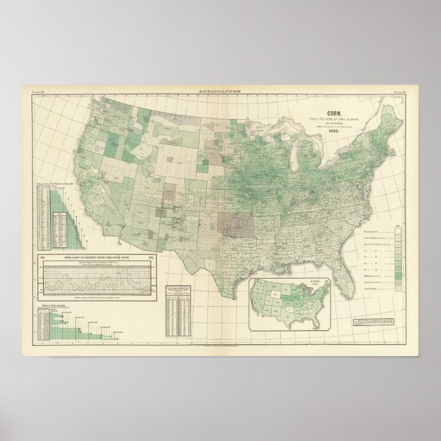 Affiche Maïs par acre planté (Devant)