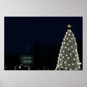 Affiche Maison Blanche et Fête nationale des arbres de Noë