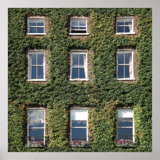 Affiche Maison De Ville De Dublin Fenêtres Et Escalades Iv