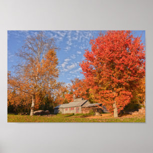 Affiche Maison du sucre du Vermont