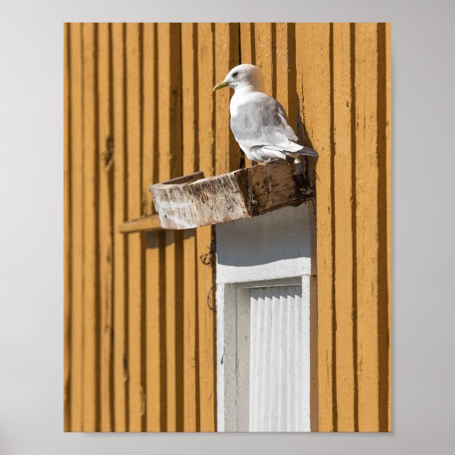 Affiche Maison Jaune Seagull (Devant)