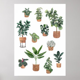 Affiche Maison Plante Collection 3