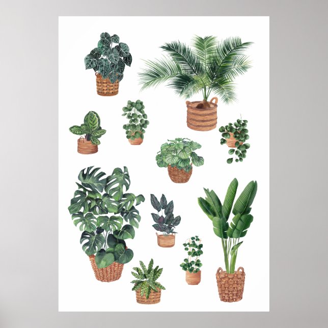 Affiche Maison Plante Collection 4 (Devant)
