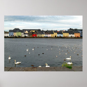 Affiche Maisons irlandaises