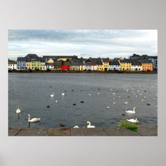 Affiche Maisons irlandaises