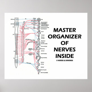 Affiche Maître Organisateur Des Nerves À L'Intérieur (Syst