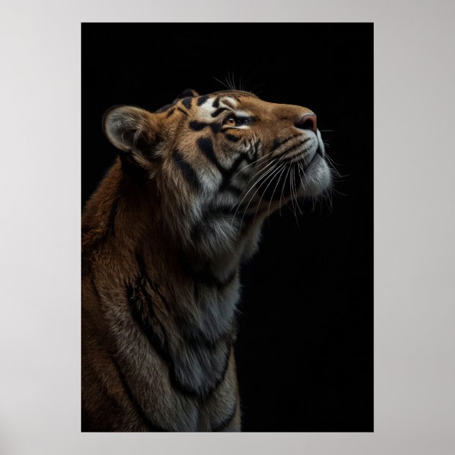 Affiche Majestic Bengal Tiger Wildlife Portrait (Devant)