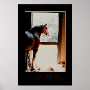 Affiche Majestic Clydesdale