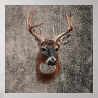 Affiche Majestic Deer Against Rustic Background