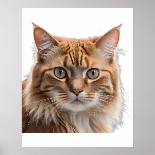 Affiche Majestic Orange Tabby Cat Portrait (Devant)