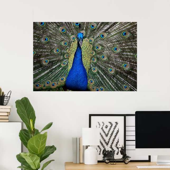 Affiche Majestic Peacock (Bureau à domicile)